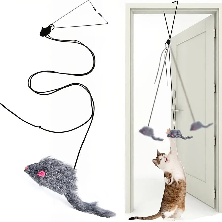 Katzenspielzeug für die Türe